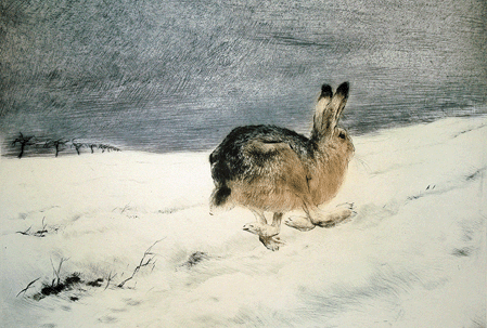 Fleeing Hare